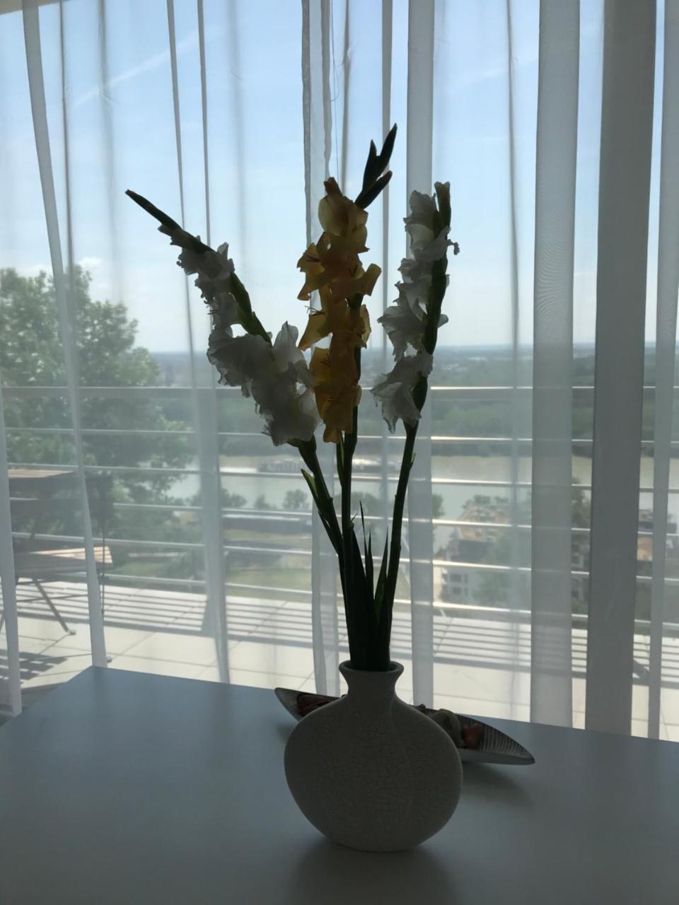 River View Residence Bratislava Dış mekan fotoğraf